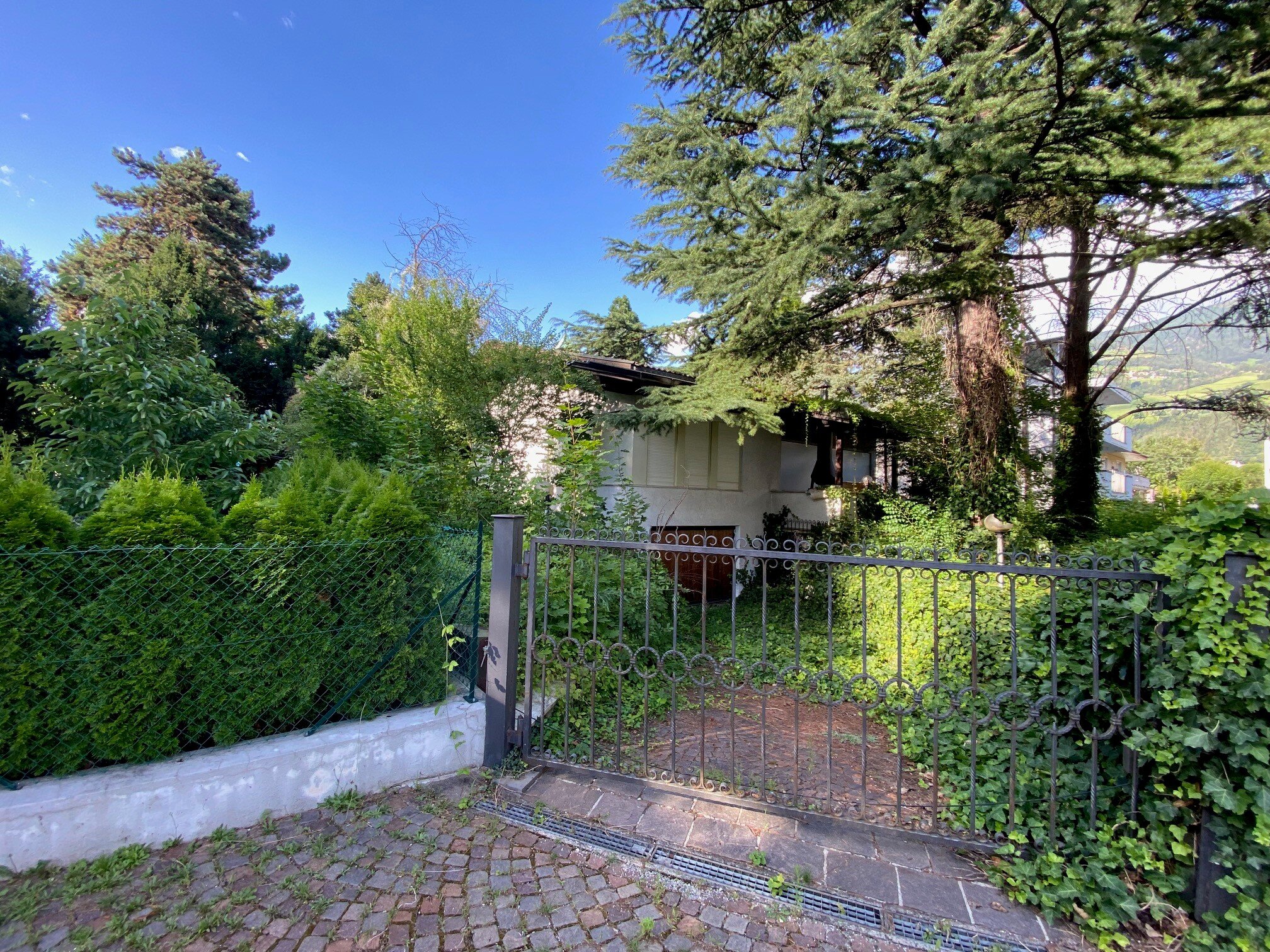 Foto Haus.jpg