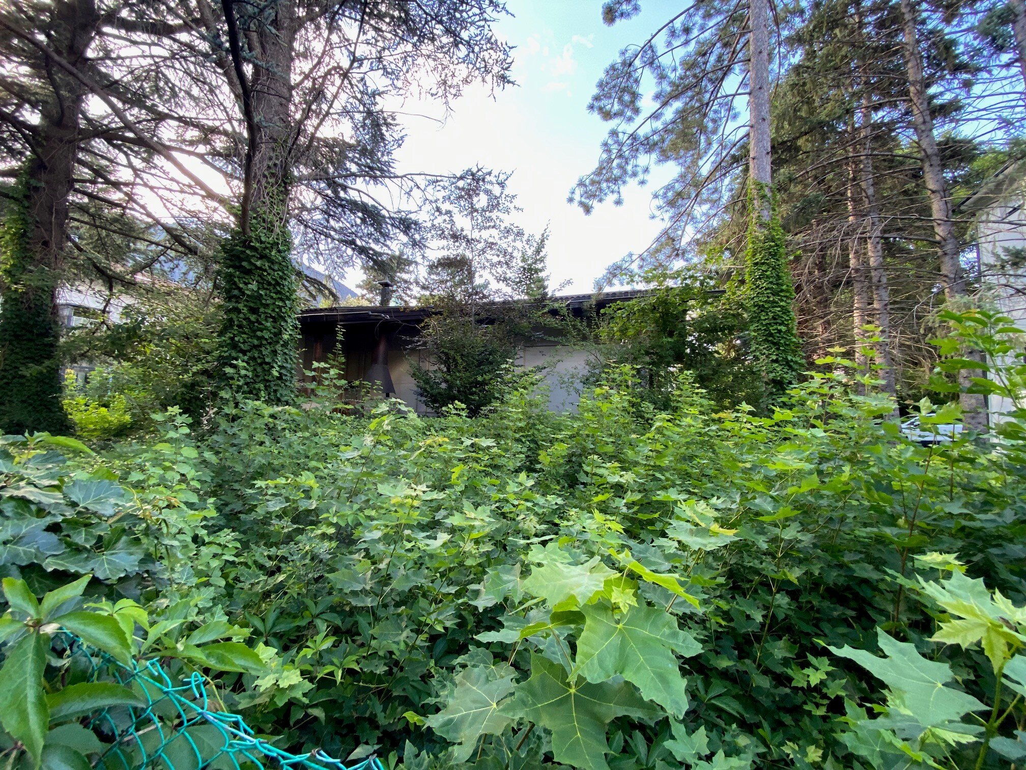 Foto Haus4.jpg