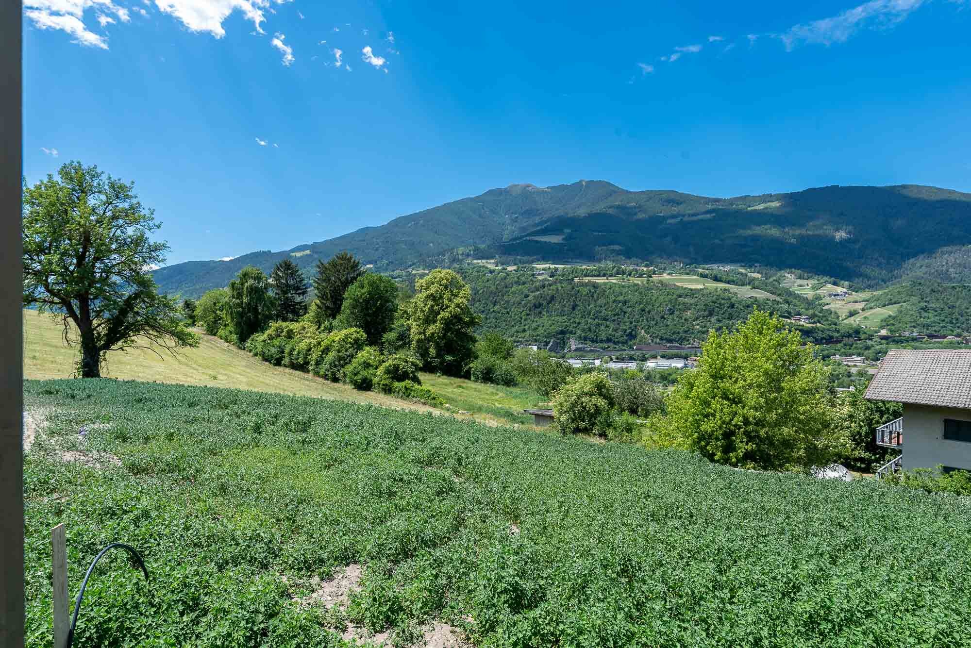 RUTH_IMMOBILIEN-24_1.jpg